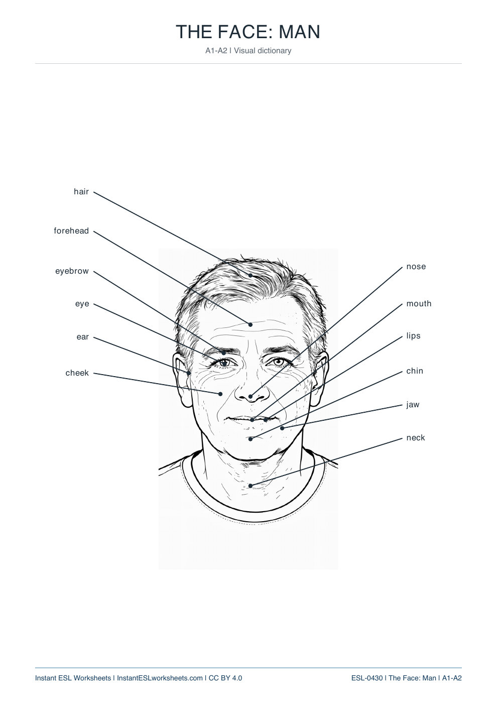 Page 2 of The Face: Man - Label and Reference - answer key